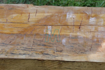 Varnishing-wood