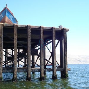 Dock Timbers